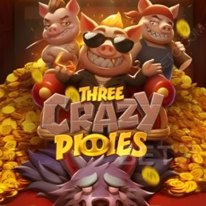 Three Crazy Piggies